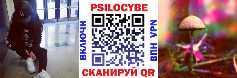 Купить  Железноводск  Галлюциногенные грибы мицелий 